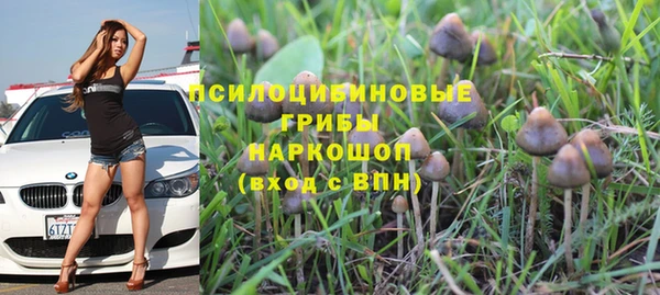 круглые Анива