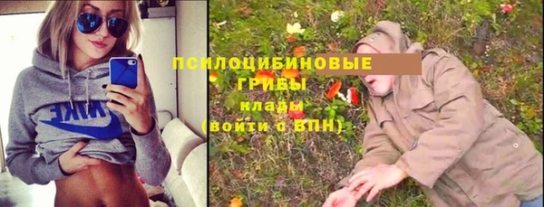 прущие грибы Покров