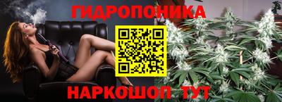 винт Гусь-Хрустальный