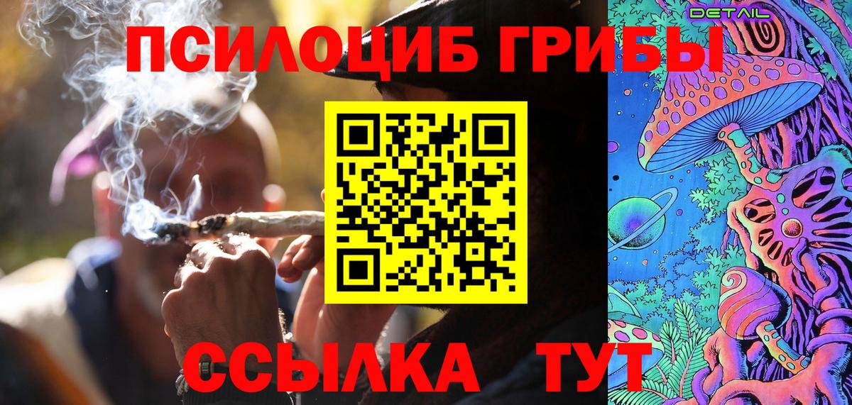 Псилоцибиновые грибы Psilocybe Камень-на-Оби