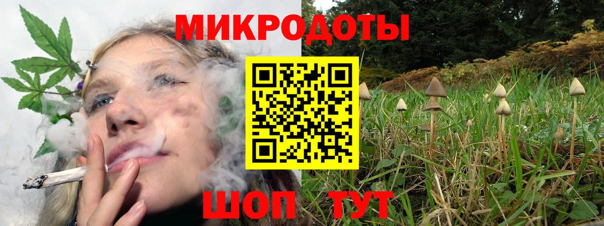 закладка  Вход с VPN  Камень-на-Оби  Псилоцибиновые грибы Cubensis 