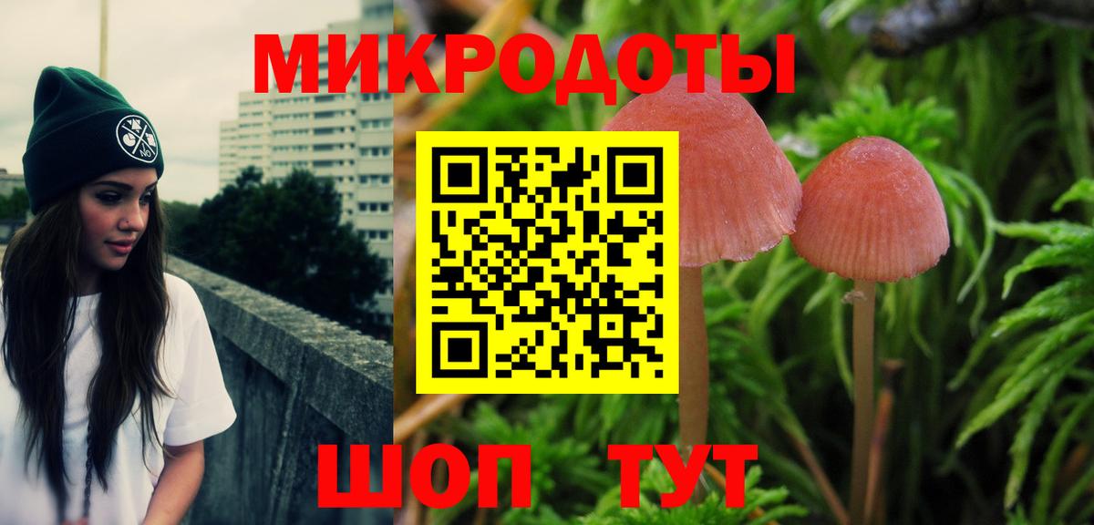 Галлюциногенные грибы мухоморы  наркота  Камень-на-Оби  Псилоцибиновые грибы MAGIC MUSHROOMS 